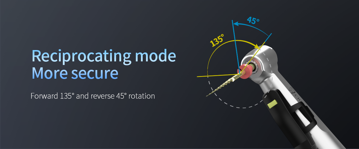 Endo Motor with Apex detail image 2