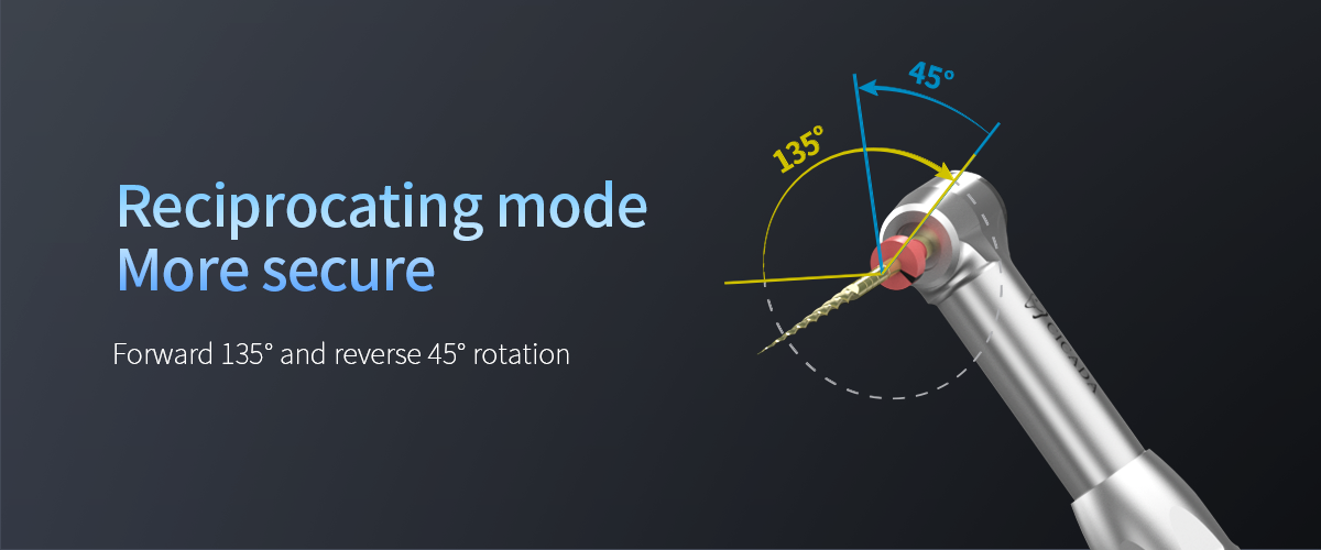 Endo Motor without LED detail image 2