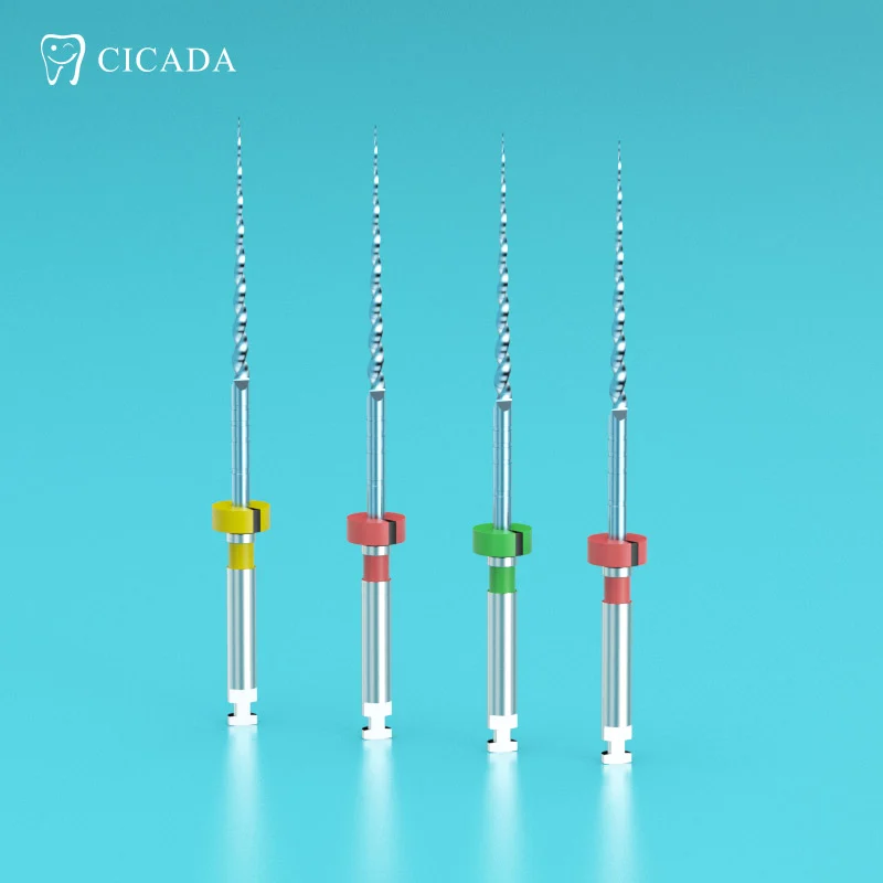 Endo File