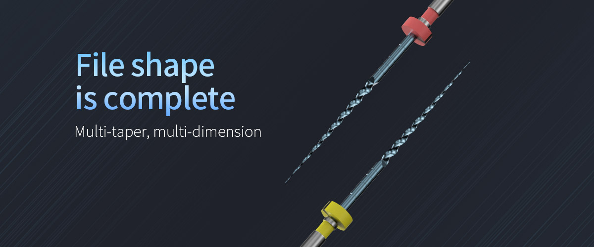 Endo File detail image 3