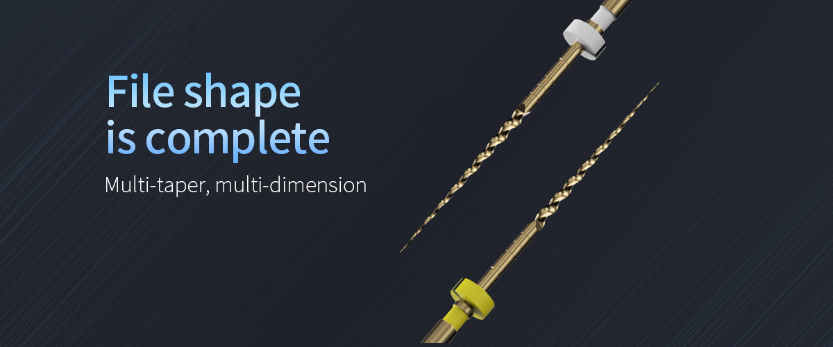 Endo File detail image 3