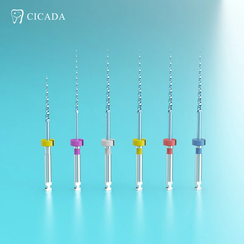 Endo File