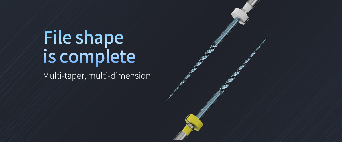 Endo File detail image 3