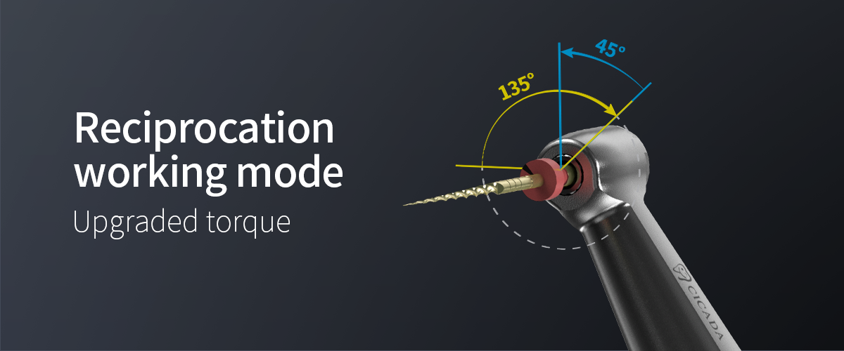 Smart Endo Motor with Apex detail image 2